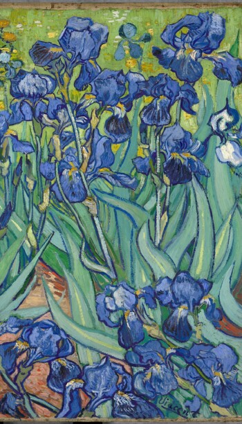Vincent Van Gogh - Irises, Saint-Remy