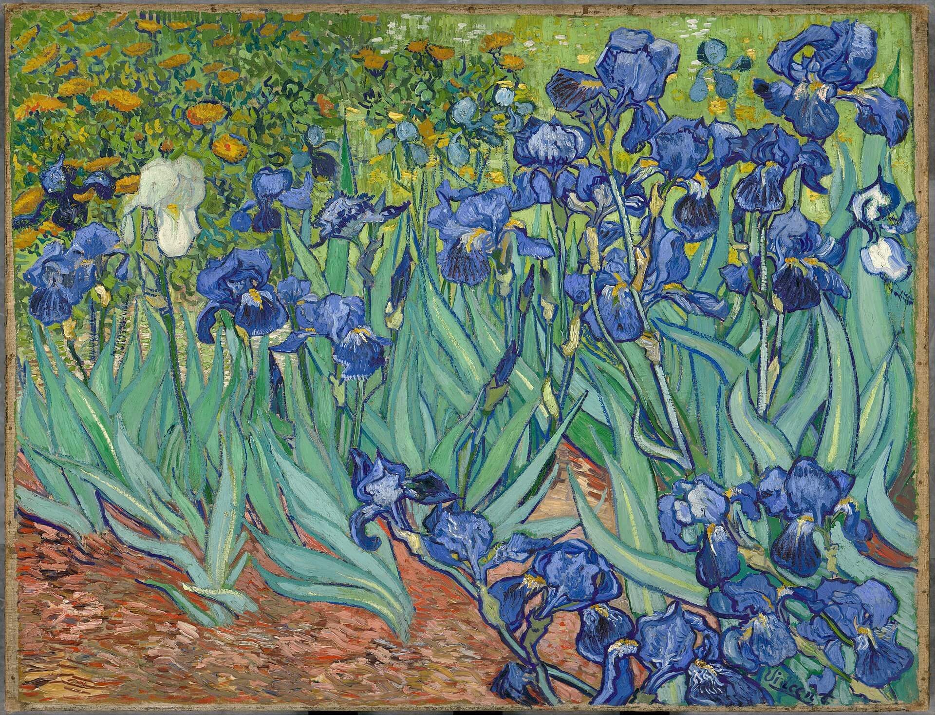 Vincent Van Gogh - Irises, Saint-Remy