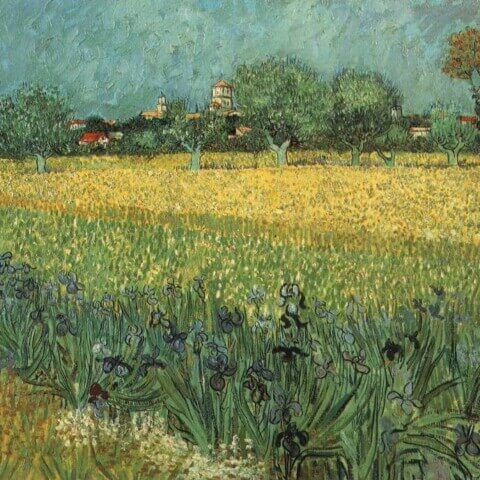 View of Arles with Irises