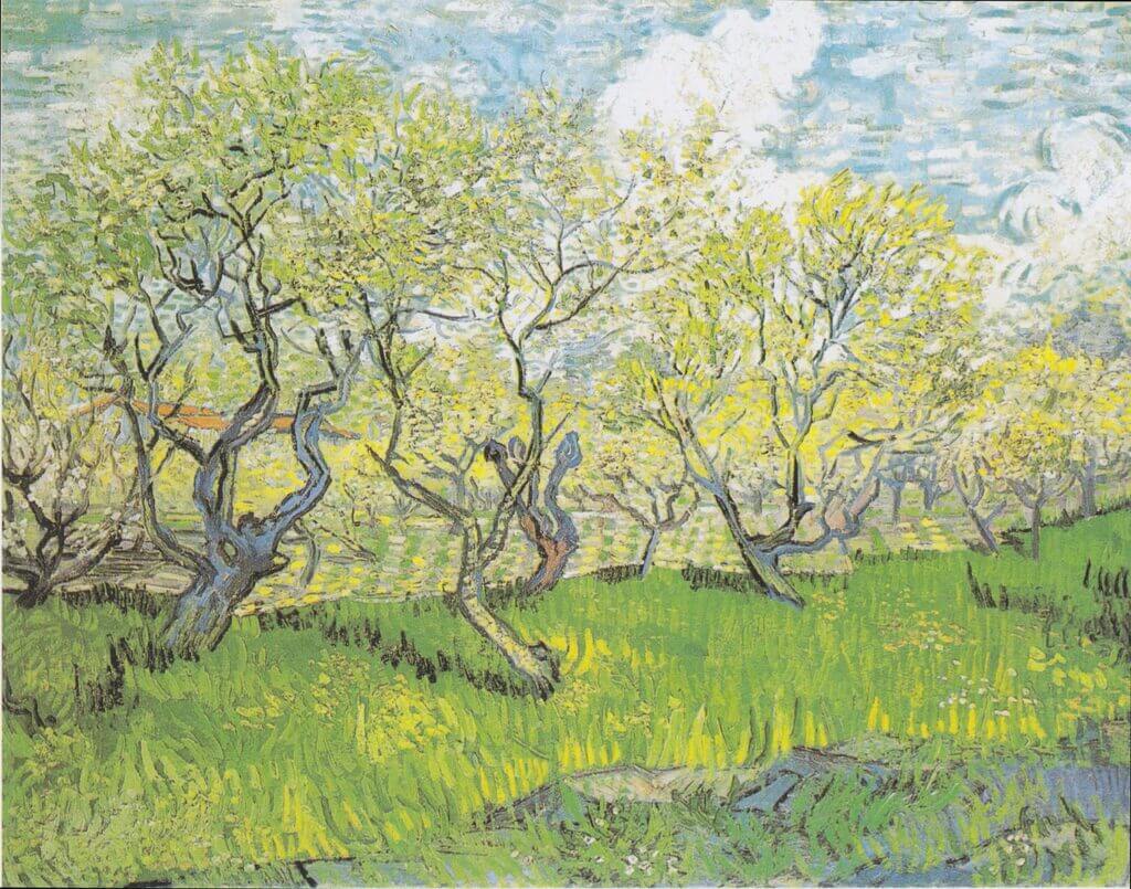 Orchard in Blossom