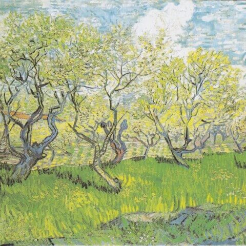 Orchard in Blossom