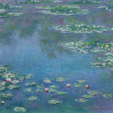 Water Lilies