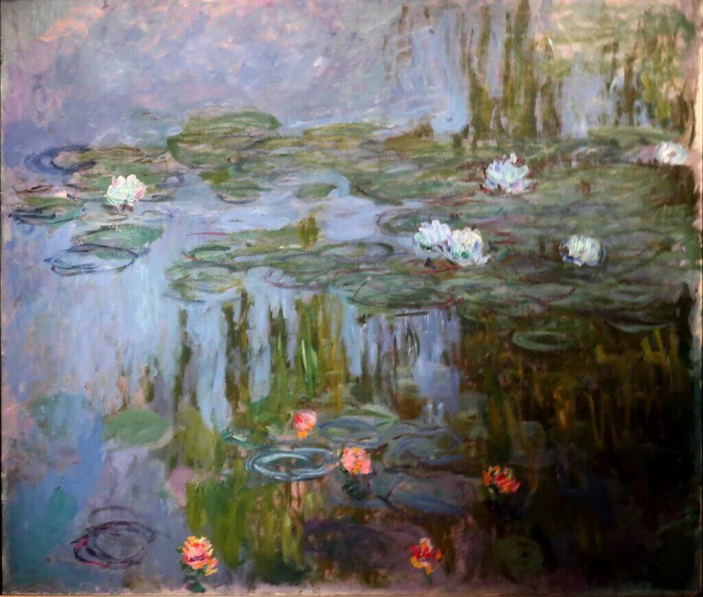 Water Lilies