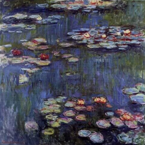 waterlillies