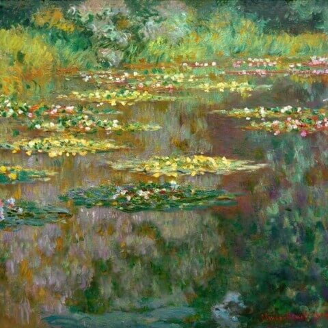 Water Lilies