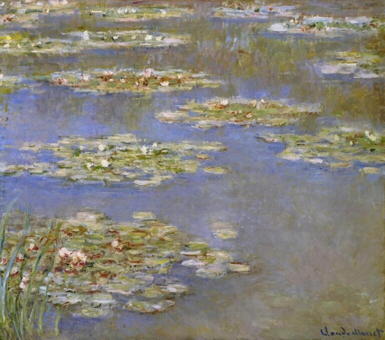 Water Lilies