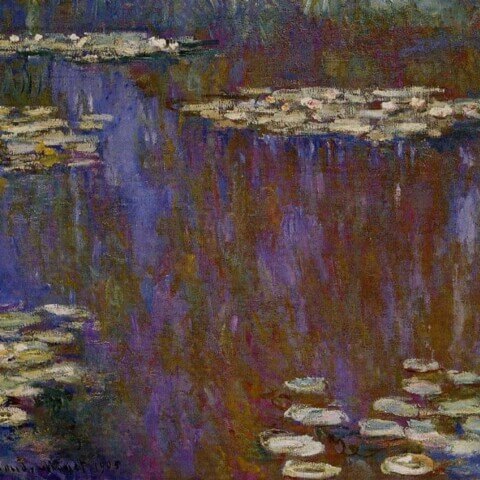 Water Lilies