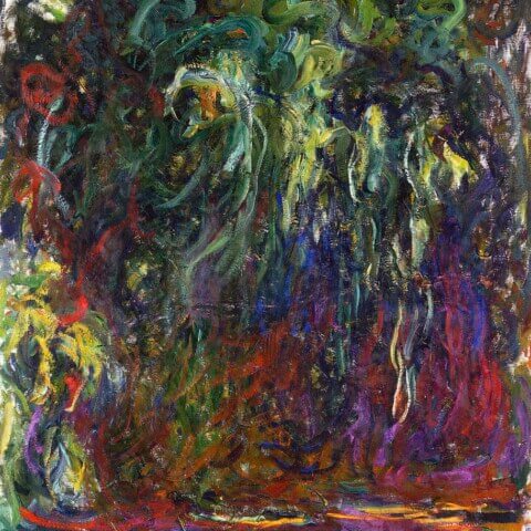 Weeping Willow, Giverny