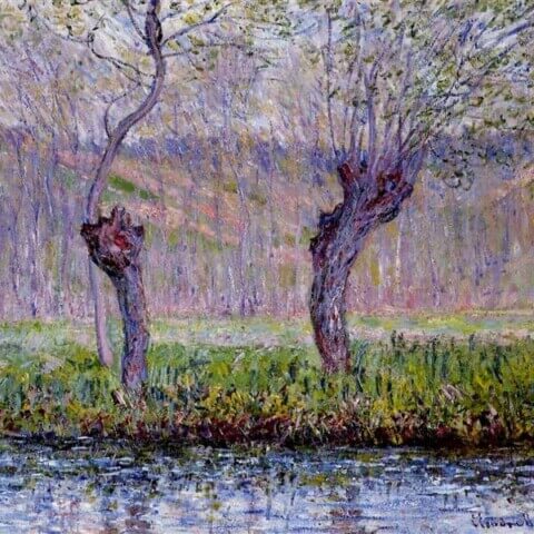 Willows in Springtime